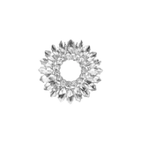 Circle Toe Clip